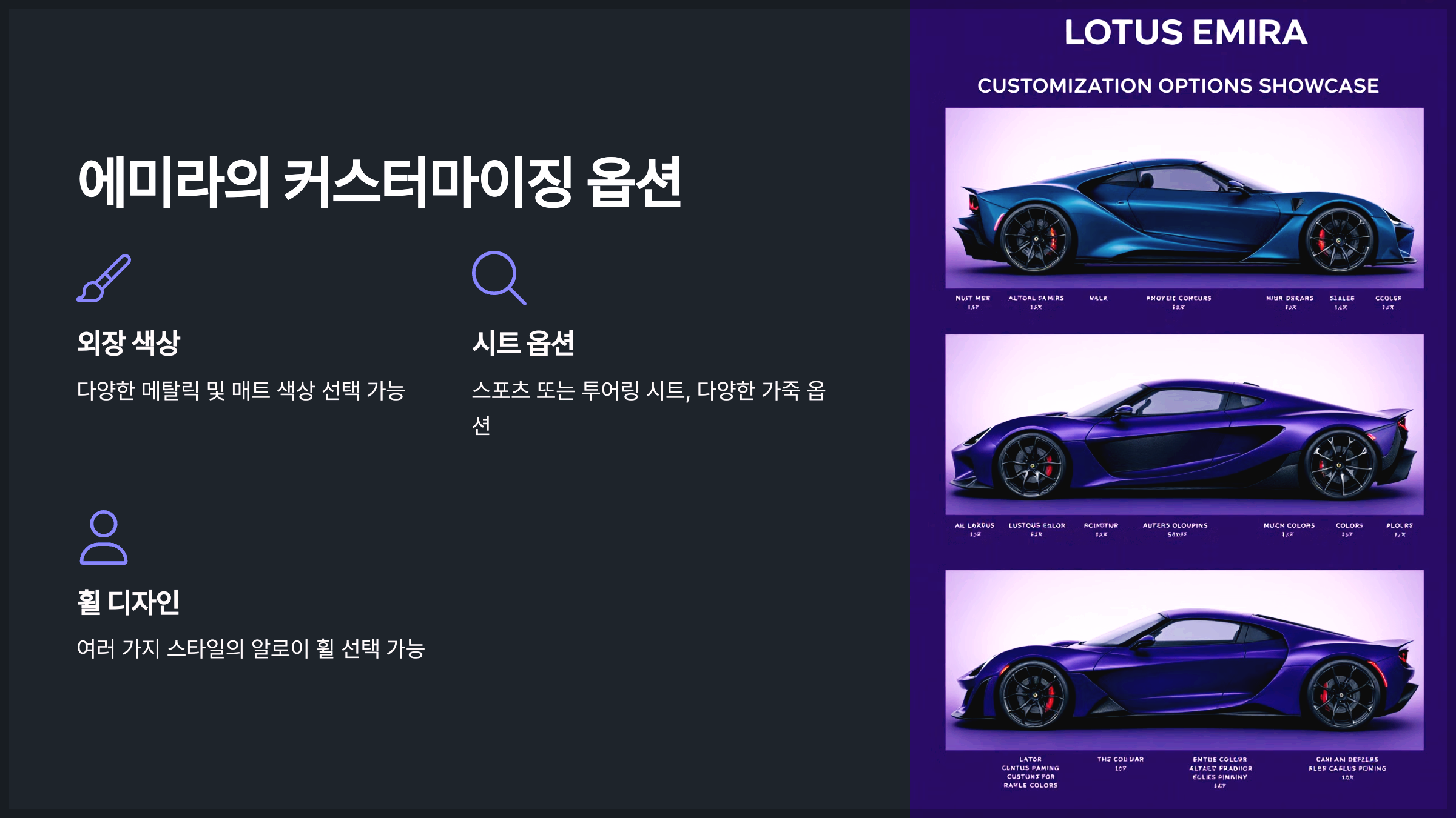 에미라의 커스터마이징 옵션