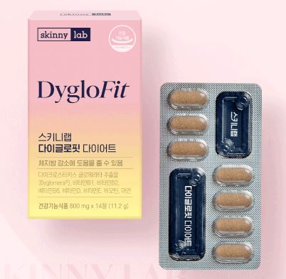 다이글로메라-가격