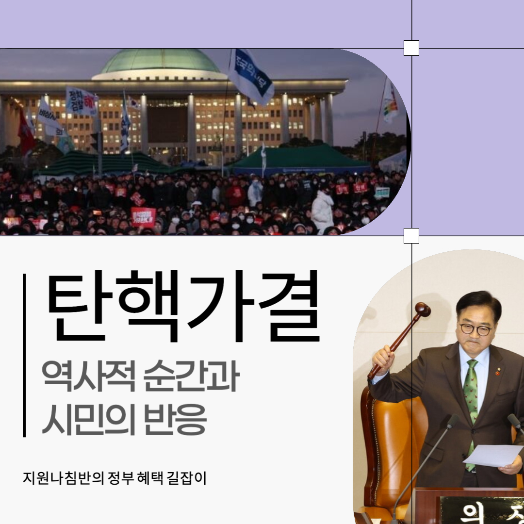 2024년 대통령 탄핵가결 썸네일