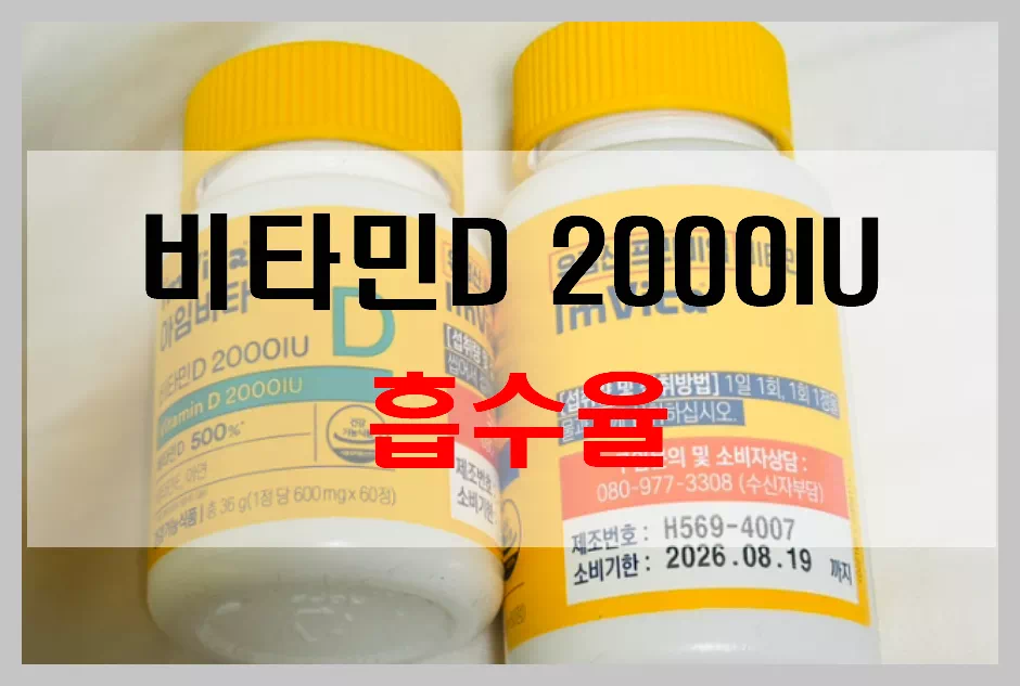 비타민D 2000IU 흡수율