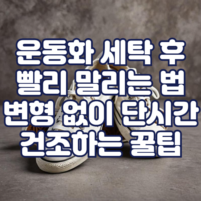 운동화 세탁 후 빨리 말리는 법, 변형 없이 단시간 건조하는 꿀팁