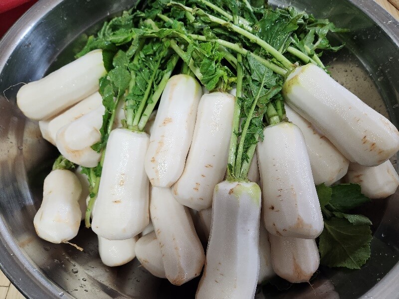 김장 김치 맛있는 양념 20포기