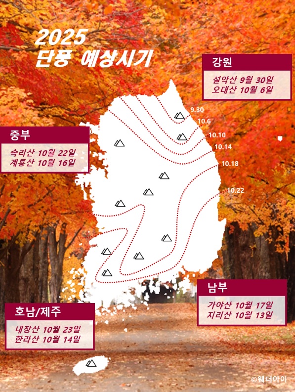 2025 단풍예상시기