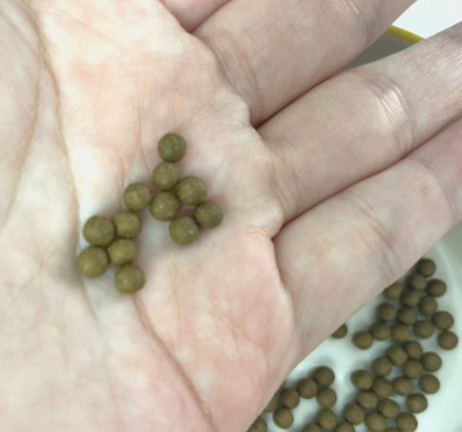 행감환 이미지4