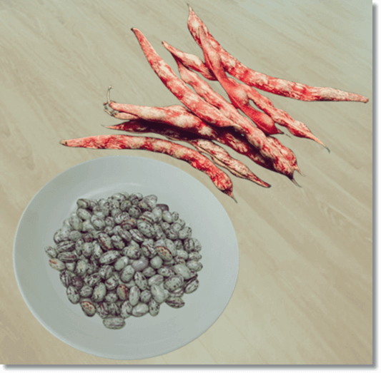 깐 호랑이콩과 꼬투리