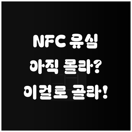 NFC 유심과 일반 유심 차이점 및 ..