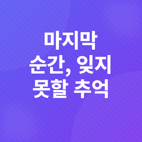 도쿄 벚꽃 여행_5
