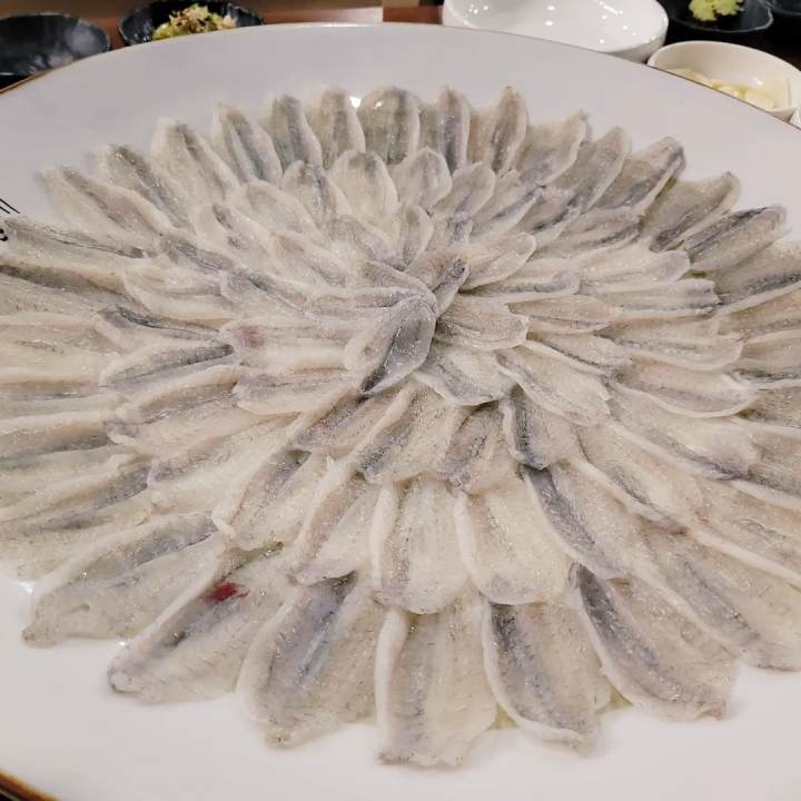 강남 압구정 맛집 추천 생방송투데이 입에 착착 감기는 쫄깃함 귀한 별미 복어회 졸복회 오늘방송 맛의 승부사