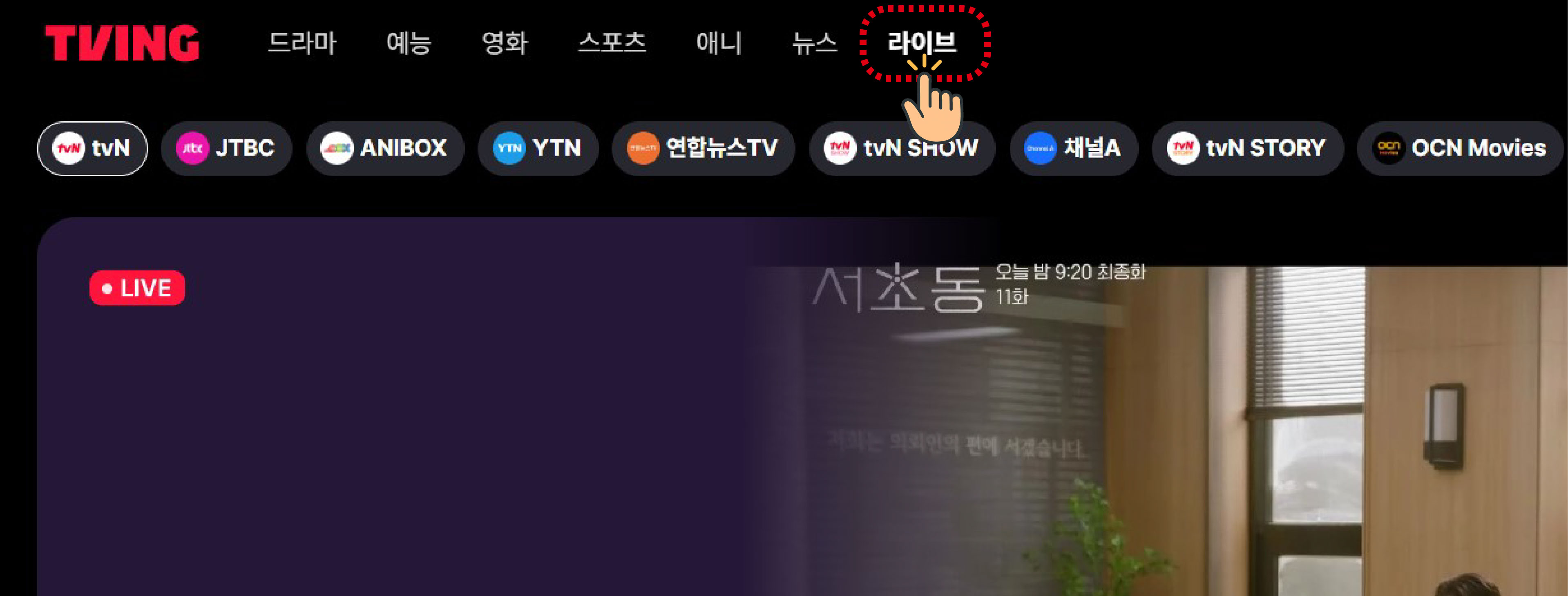 tvN 편성표 및 채널번호 총정리