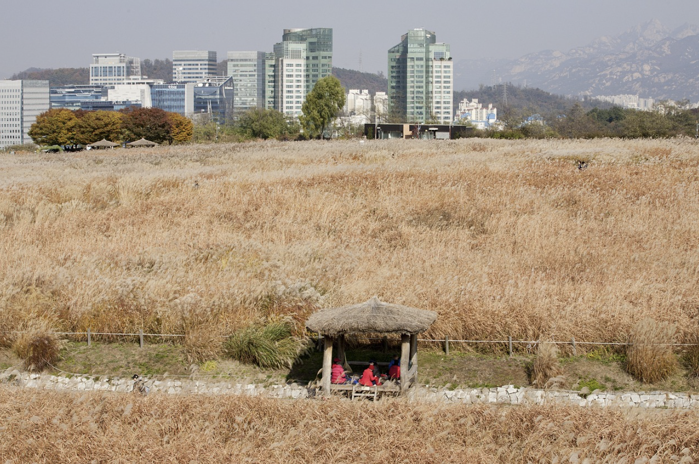 하늘공원 억새축제
