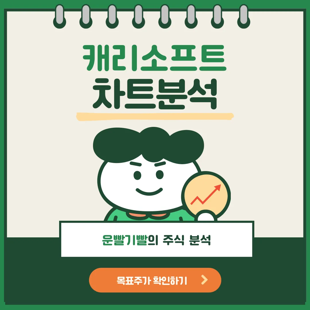 캐리소프트 차트분석