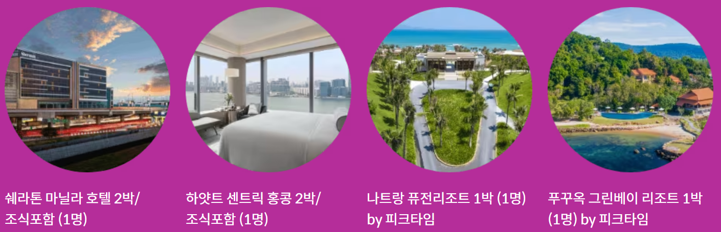 2024 제주항공 얼리버드 찜특가