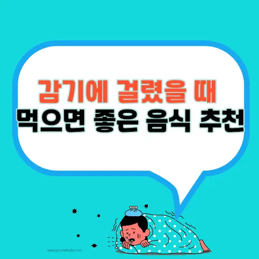 감기에 걸렸을 때 먹으면 좋은 음식 추천