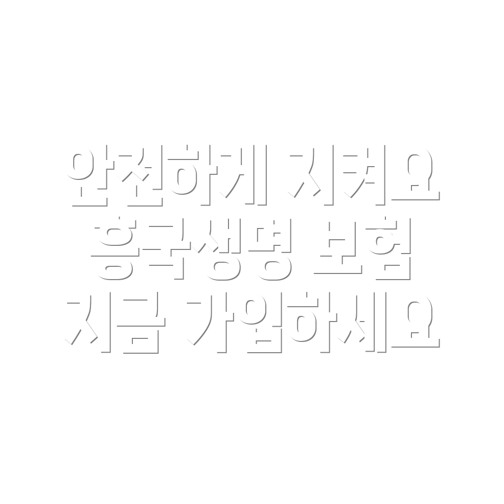 자동차 보험