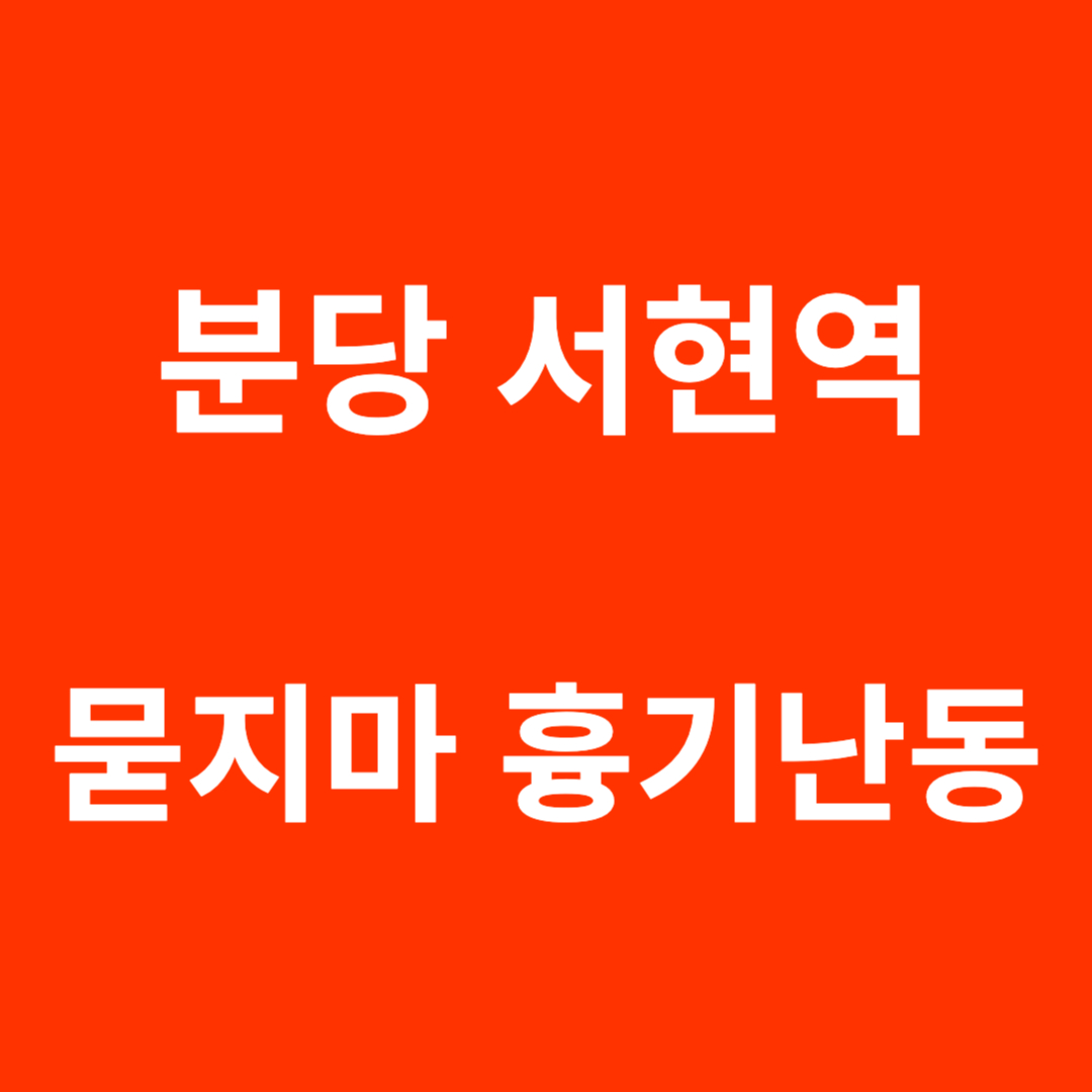 분당 서현역 칼부림 무차별 흉기난동