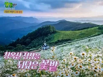생생정보 평창 황태구이 황태해장국 장PD AI여행_17
