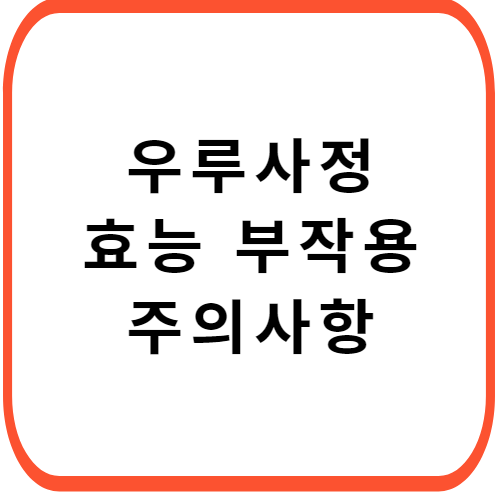 우루사정-100mg-성분-효능-부작용-썸네일