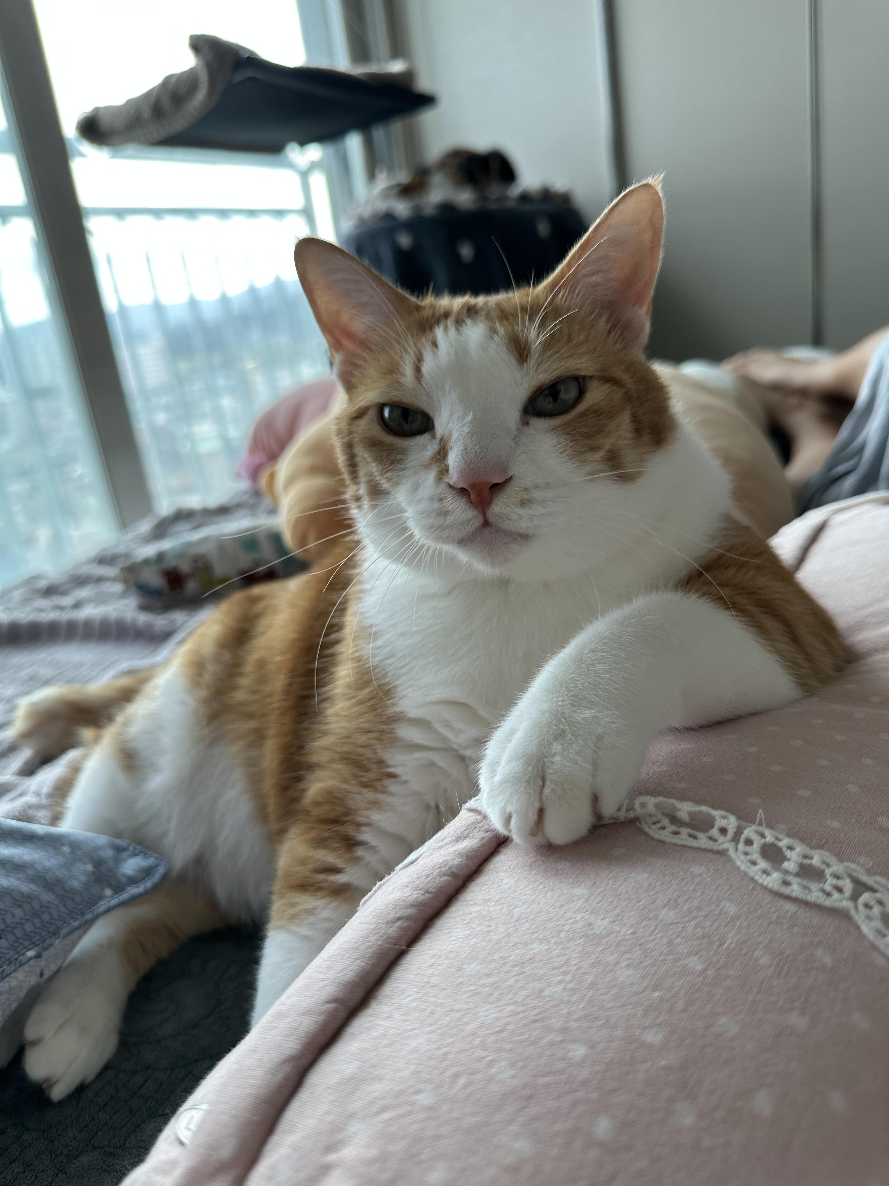 다시_엄마한테_아이컨택_쏘는중_1