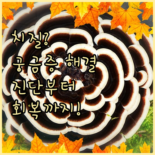 치질 진료 시간, 궁금증 해결! 진단..