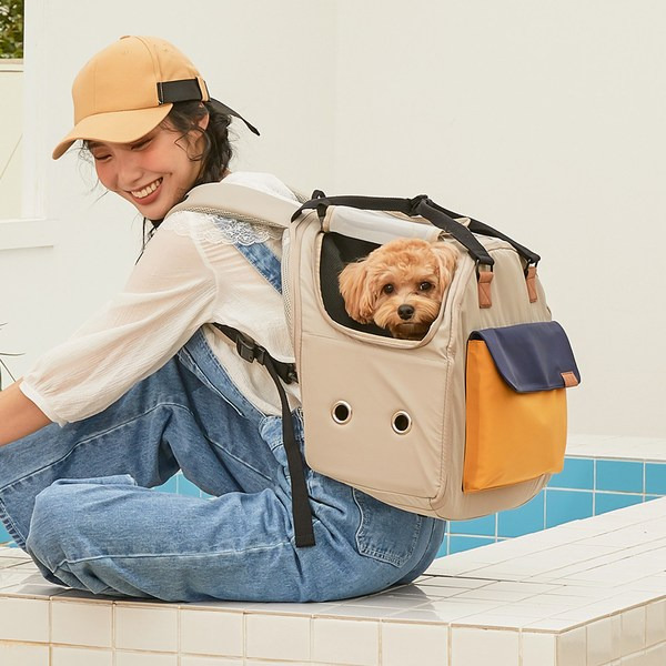 반려견 여행 준비