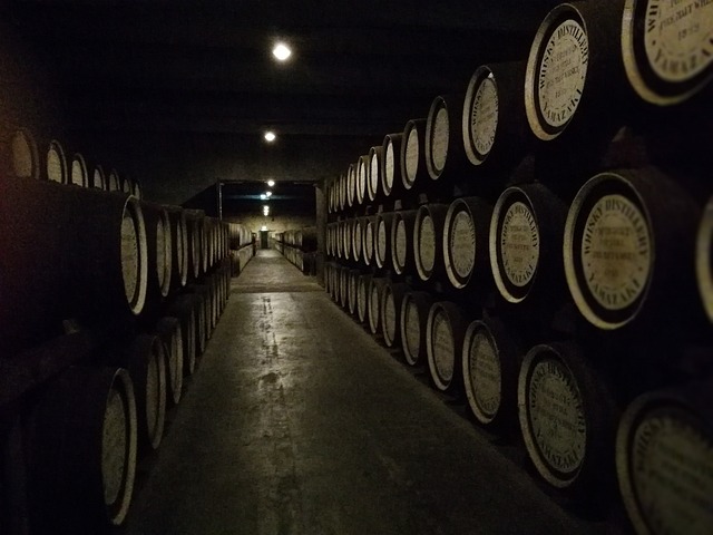 한 모금에 억 소리 나는 시간, 최고가 빈티지 위스키의 세계로 떠나는 황홀경