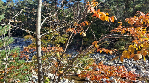 설악산_단풍여행_총정리