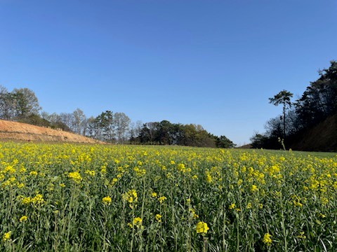 용안생태습지공원 카페