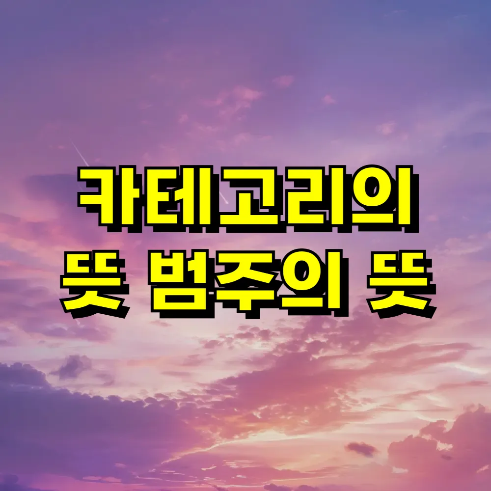 카테고리의 뜻 범주의 뜻