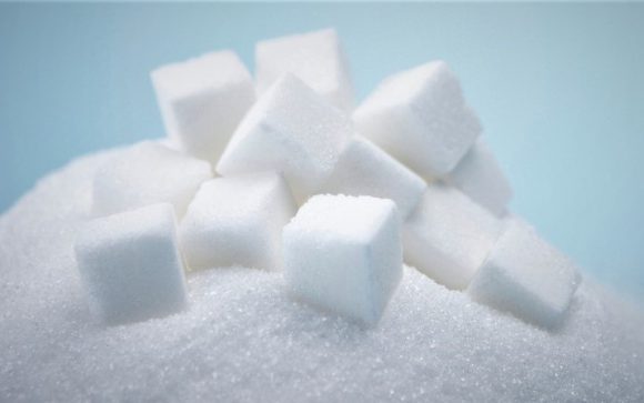 제로 음료 no sugar 설탕