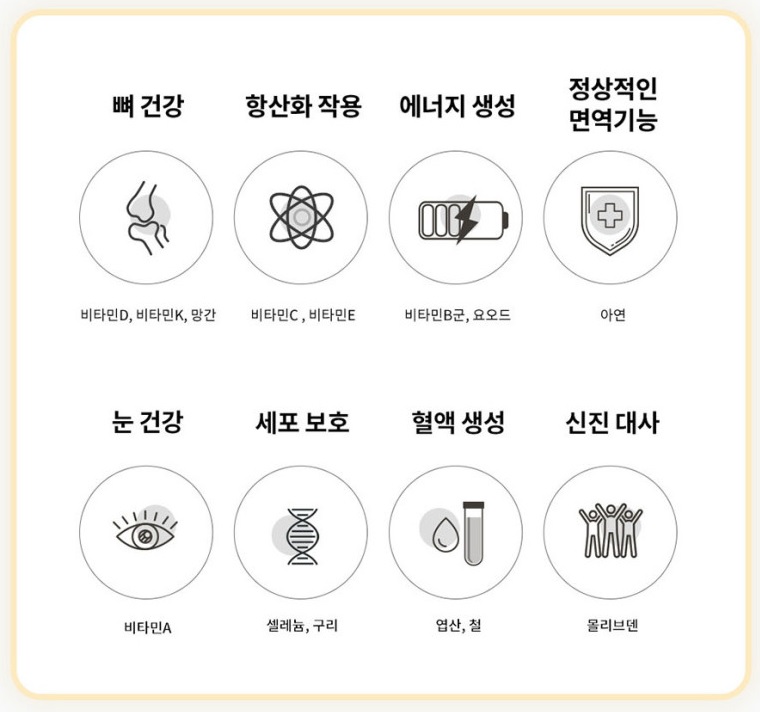 종합비타민 추천