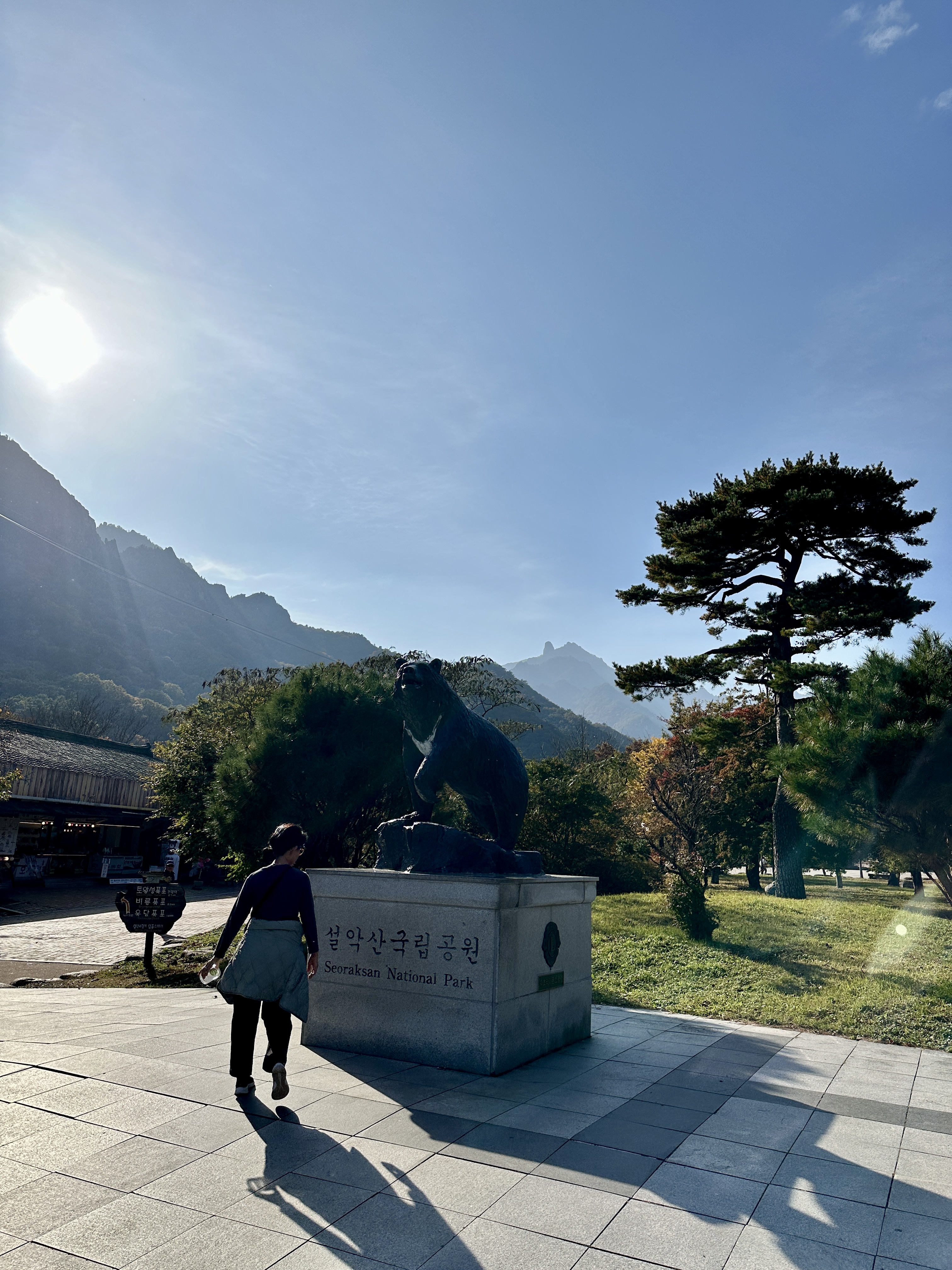 설악산 국립공원 곰 동상