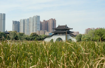 이재명 대선공약 쉽게 정리 13