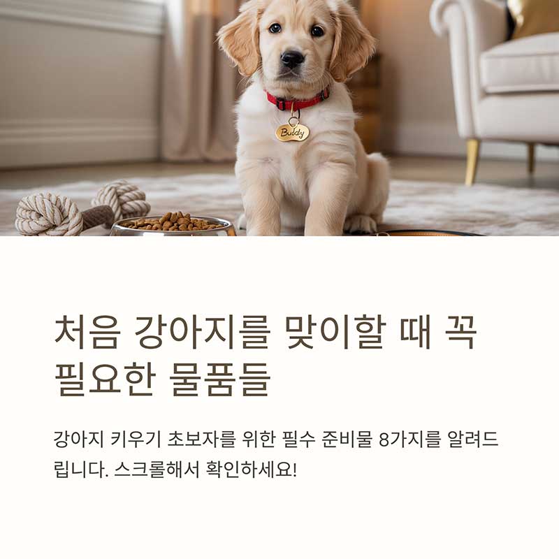 강아지 키우기 초보자를 위한 필수 준비물