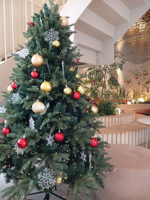 엔제리너스 트리