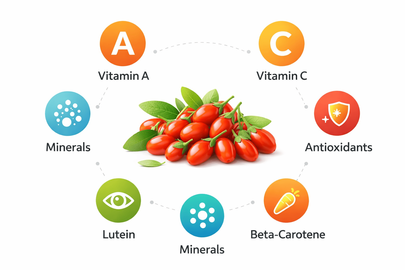 구기자의 주요 영양 성분