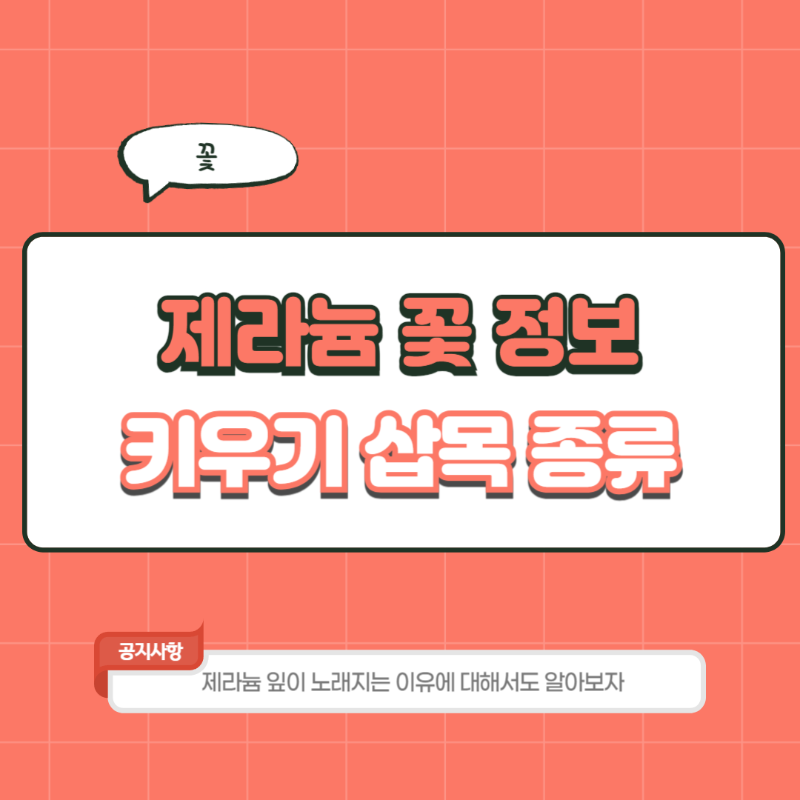 제라늄 키우기 삽목 종류 잎이 노래지는 이유 물주기 가지치기 꽃말 분갈이