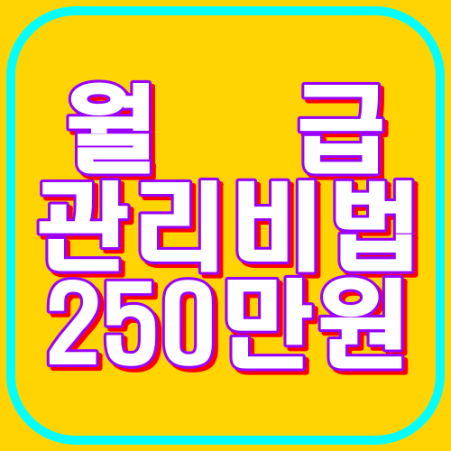 월급관리비법 250만원