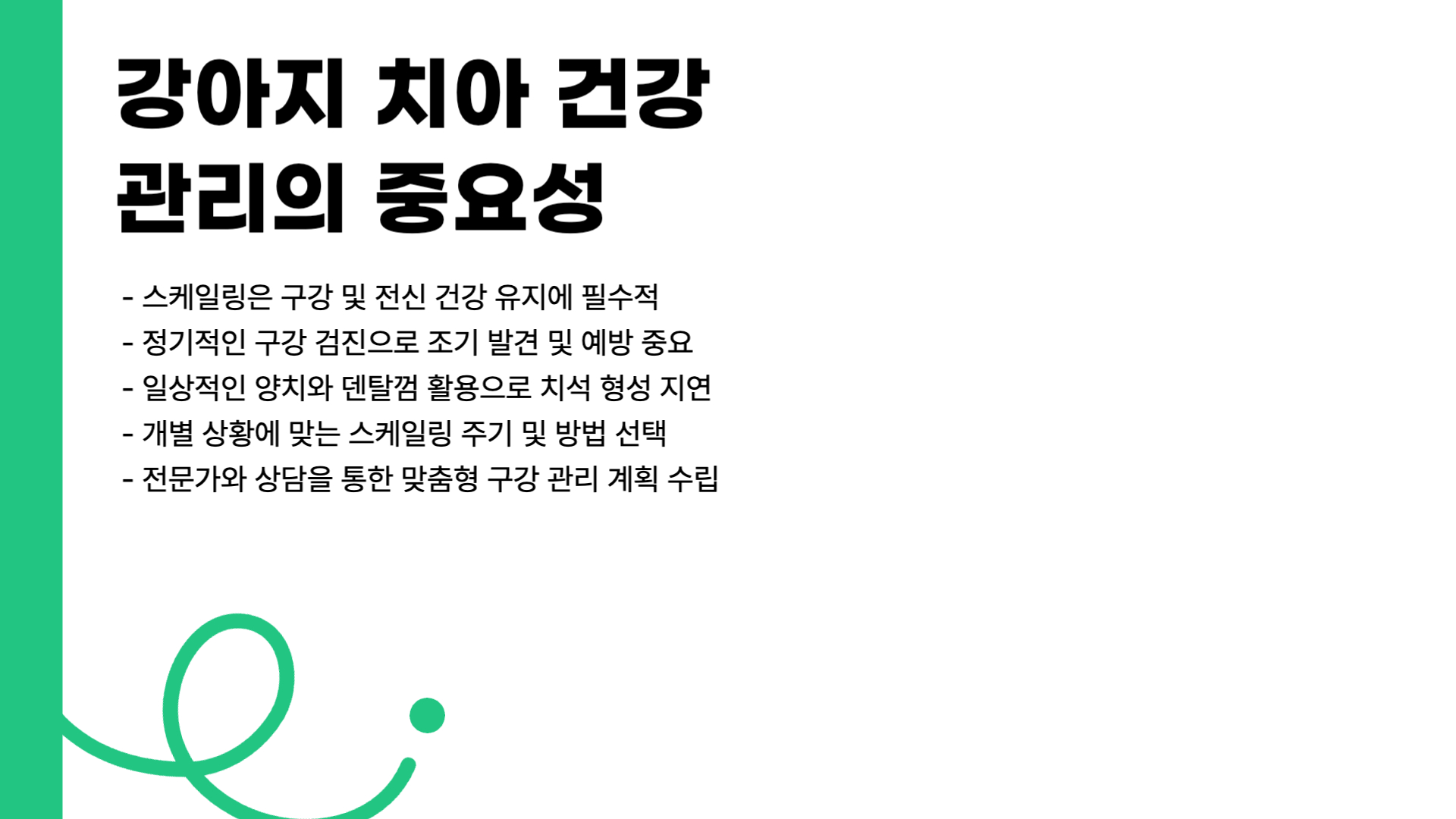 강아지 스케일링 주기 비용