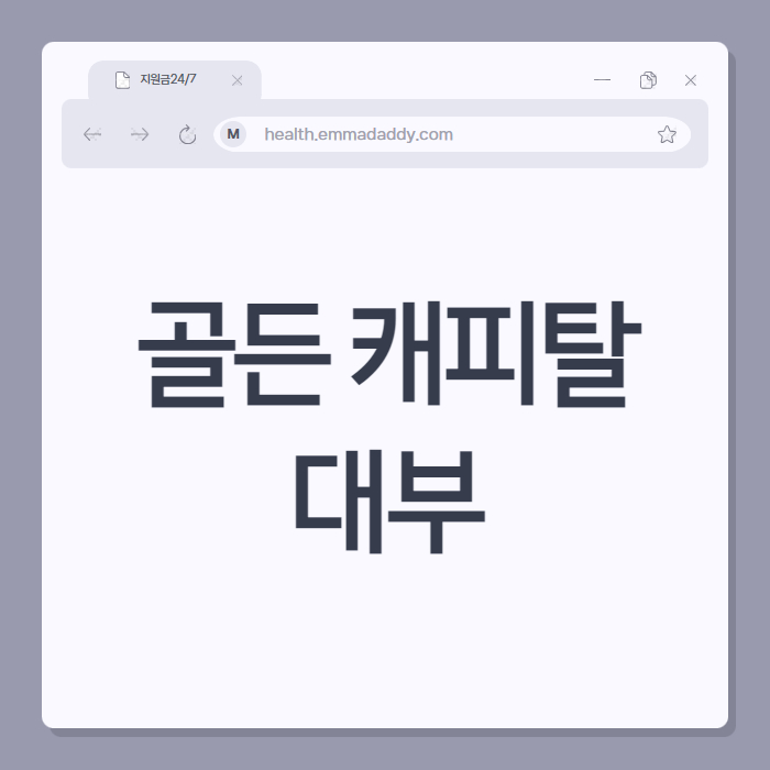 골든 캐피탈 대부 후기