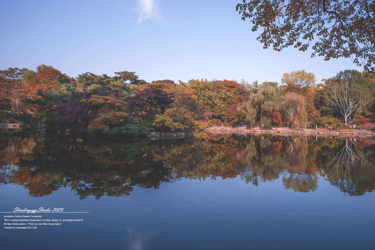 #서울 #창경궁 #궁궐 #조선 #왕