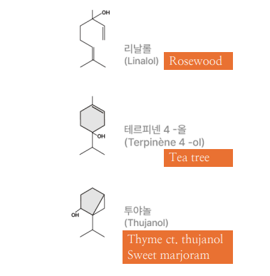 아로마 에센셜의 화학구조(Chemotype) : (모노Mono)테르펜 알코올(Terpene Alcohol)