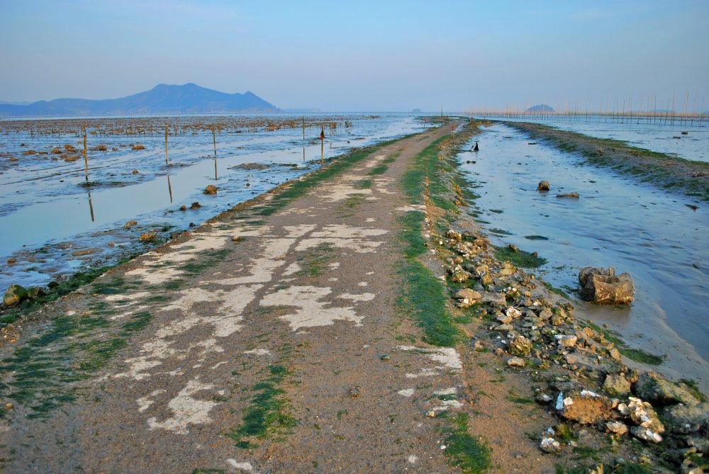 장흥군 대덕읍 옹암마을