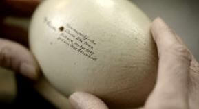 2025 설 특선영화 편성표 보기