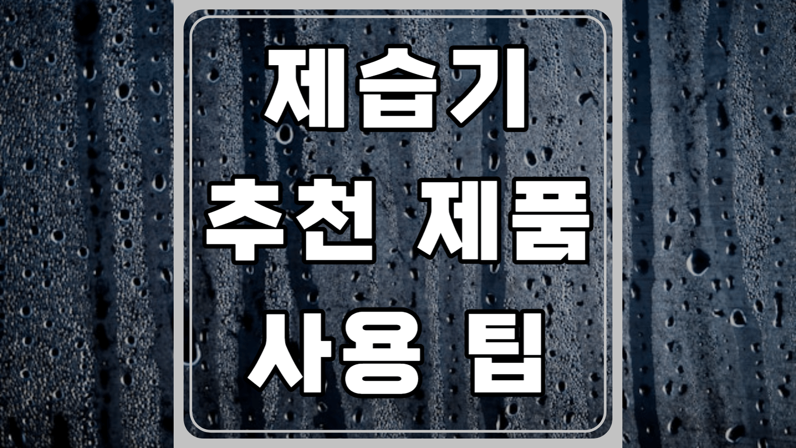 제습기 추천 제품 사용 팁