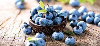 눈에 좋은 블루베리