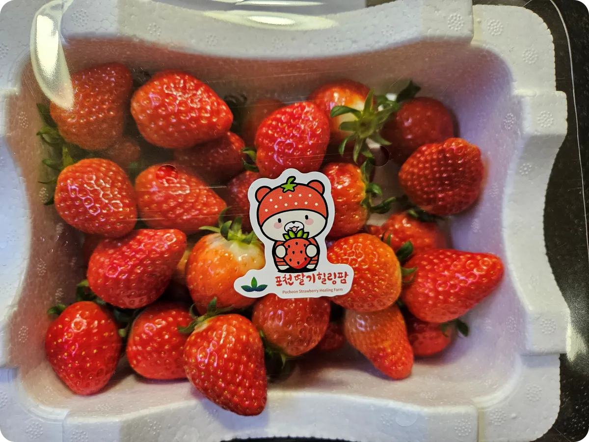 포천딸기힐링팜-스마트팜-딸기-1박스-1kg