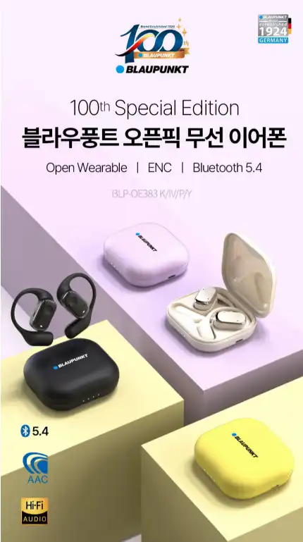 블라우풍트 무선 이어폰 - 찐 후기 (장단점 다 알려 드림!!!) - 100주년 에디션의 특별함