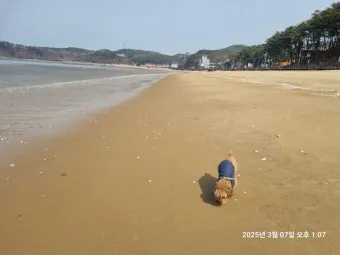 장경리 해수욕장 소개 및 여름 영흥도 여행 코스 추천_16