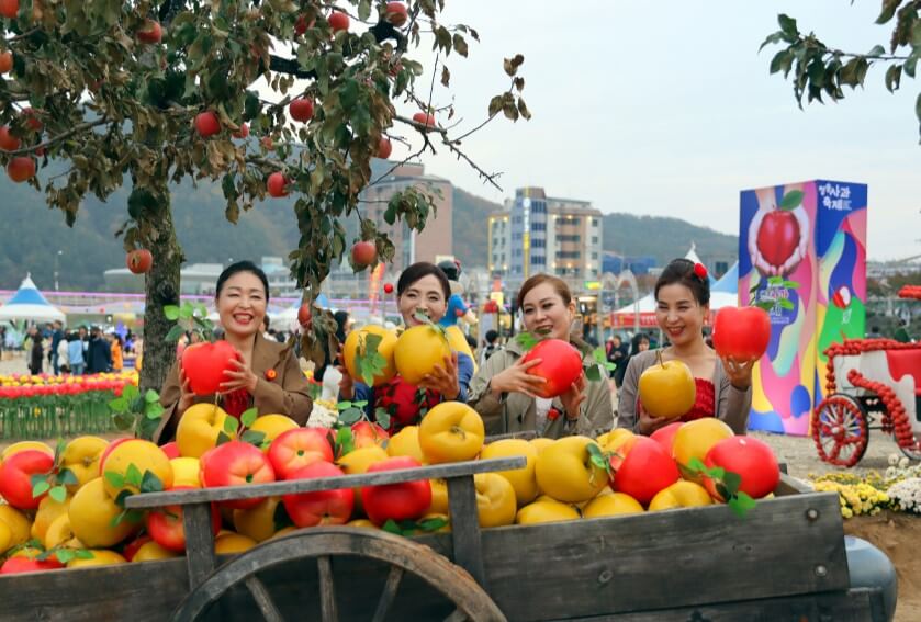 전국 가을축제 일정