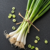 김장 쪽파 심는 시기